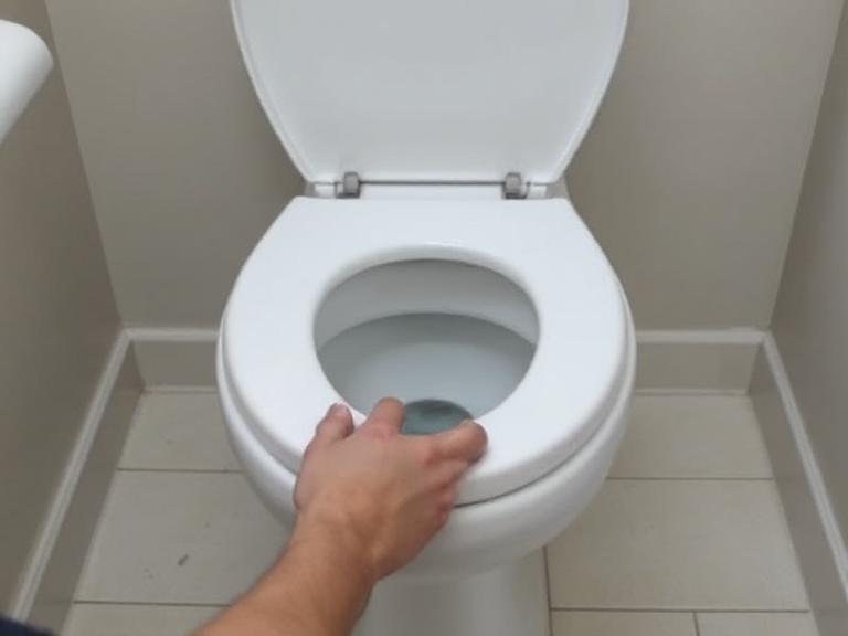 Remove the Old Toilet Seat